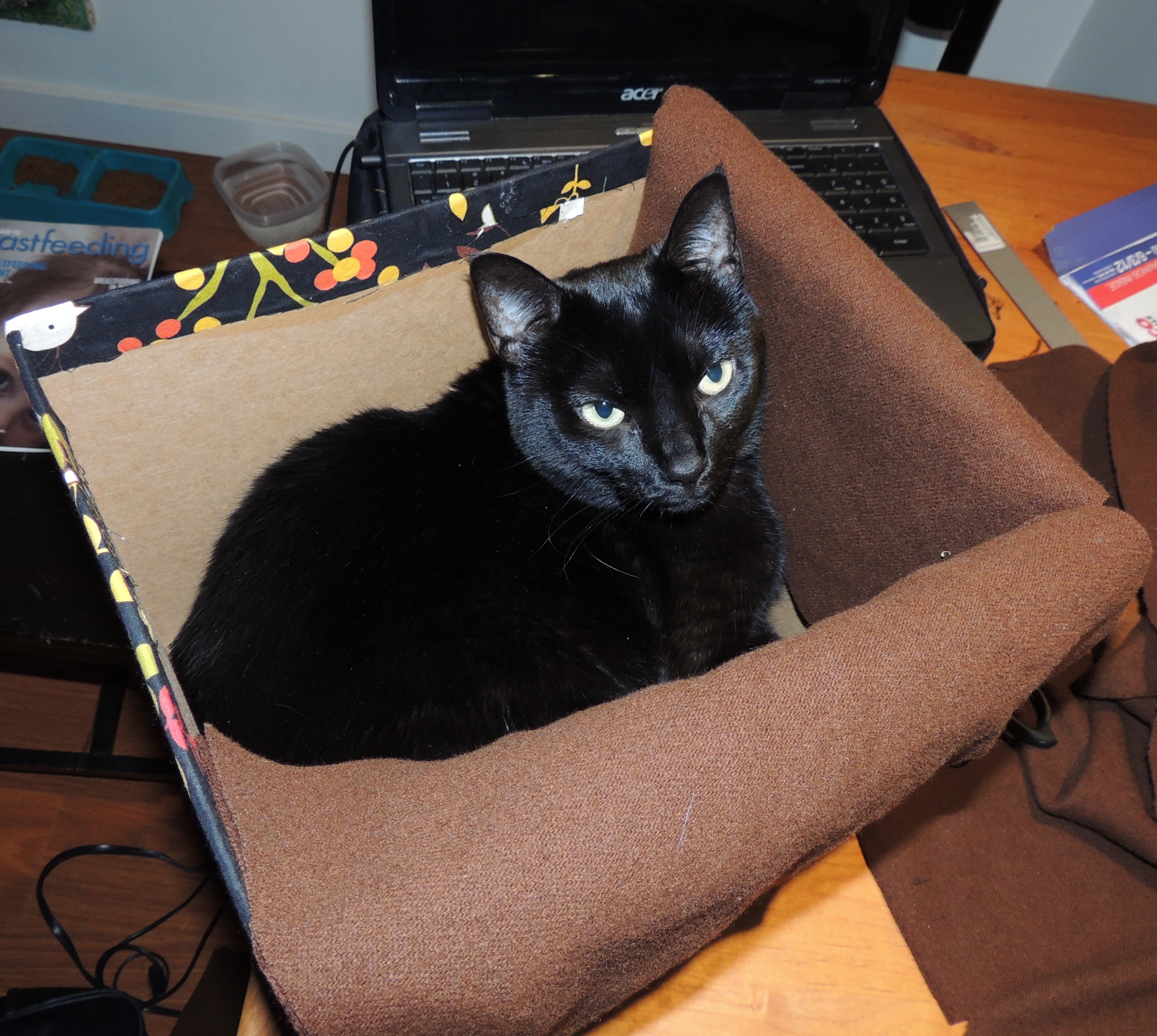 DIY Fabric Storage Boxes  Lax Cat Creations